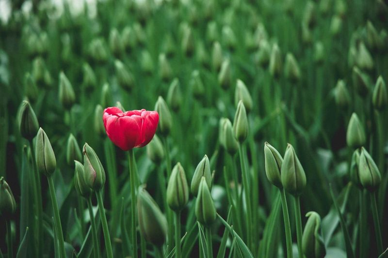 Bulletproof brand awareness for developer marketers